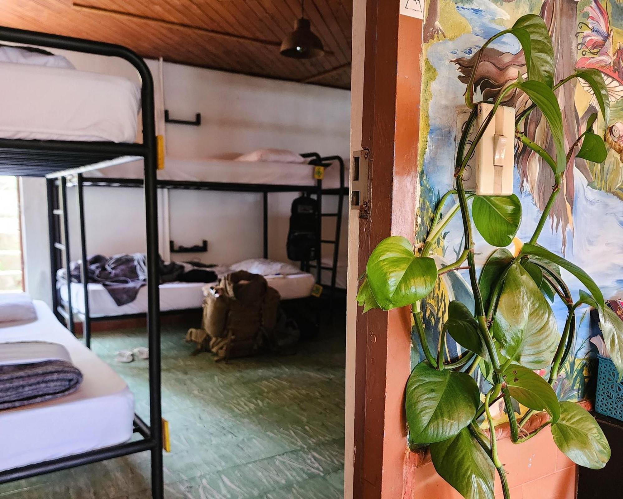 Casa Kayam Art Hostel Coliving Coworking Guatapé エクステリア 写真